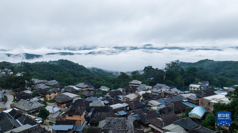 大发bet网页版
